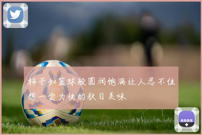 柿子如篮球般圆润饱满让人忍不住想一尝为快的秋日美味